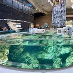 Seattle Aquarium