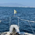 Paseo en Barco/Lancha