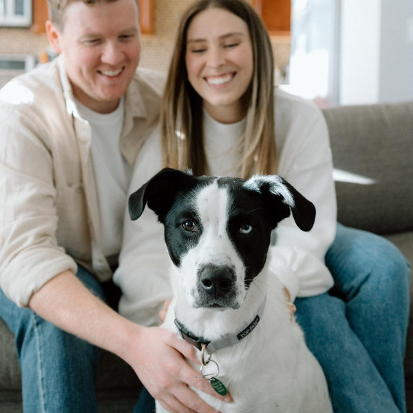 One Night At The Pet Hotel For Our Honeymoon