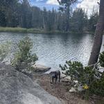 Azalea and Flora Lakes