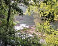 Martin Park Nature Center