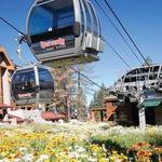 Heavenly Village Way