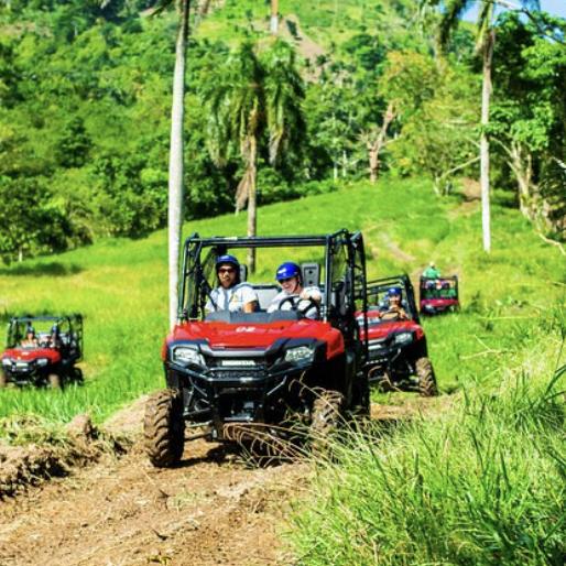 Dune Buggy Jungle Adventure