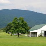 King Family Vineyards