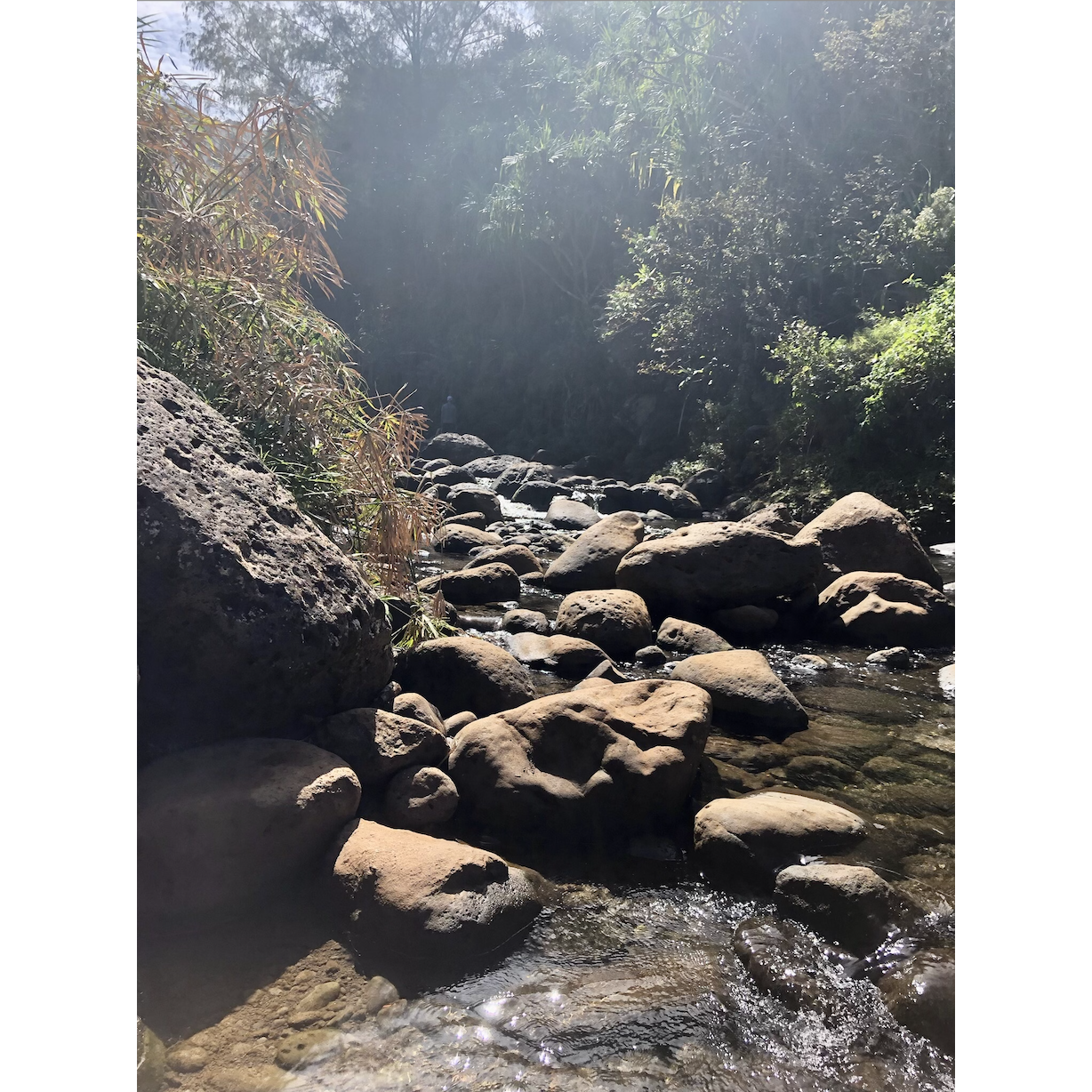 Hanakapi'ai Falls, a place we could stop to refresh during our NaPali Coast hike.