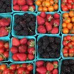 Portland Farmers Market