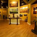 Artists of Merrywoods