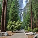 Lower Yosemite Falls Hike