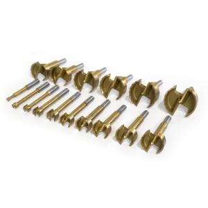 1/4 in. to 2-1/8 in. Forstner Bit Set with Carrying Case (16-Piece)