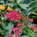 North Carolina Museum of Natural Sciences
