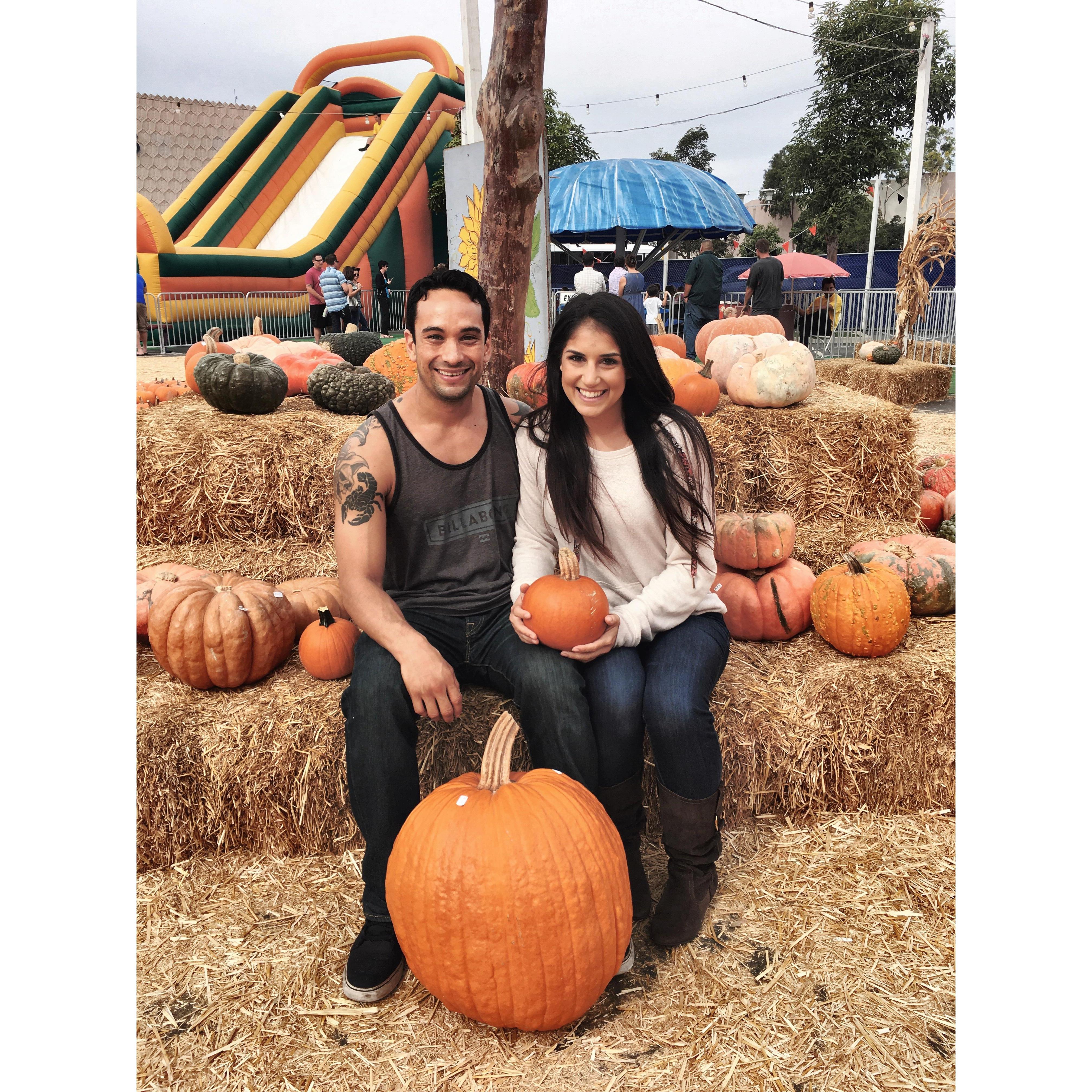 Pumpkin patching
