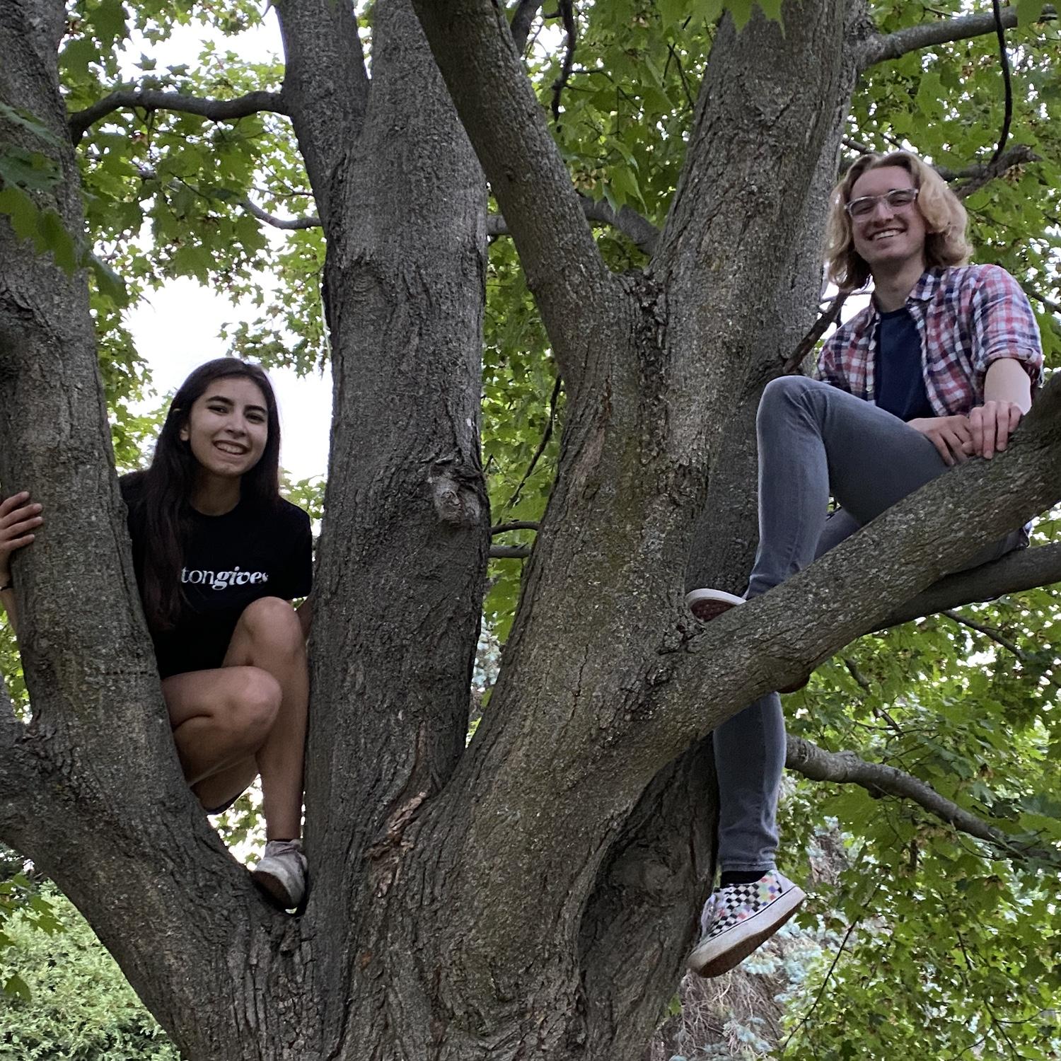 Climbing trees on Olivia’s birthday, 2021.