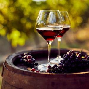 Italian Wine Country Trip