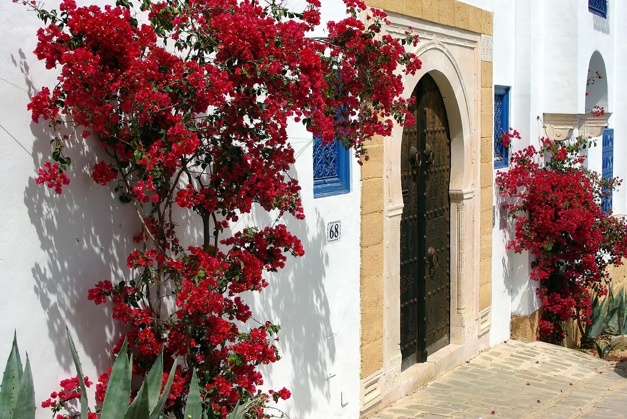 The Wedding Website of Ashton Nicewonger and Zied Ben Hadj-Alouane