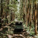 Full Day - Jeep Safari Tour