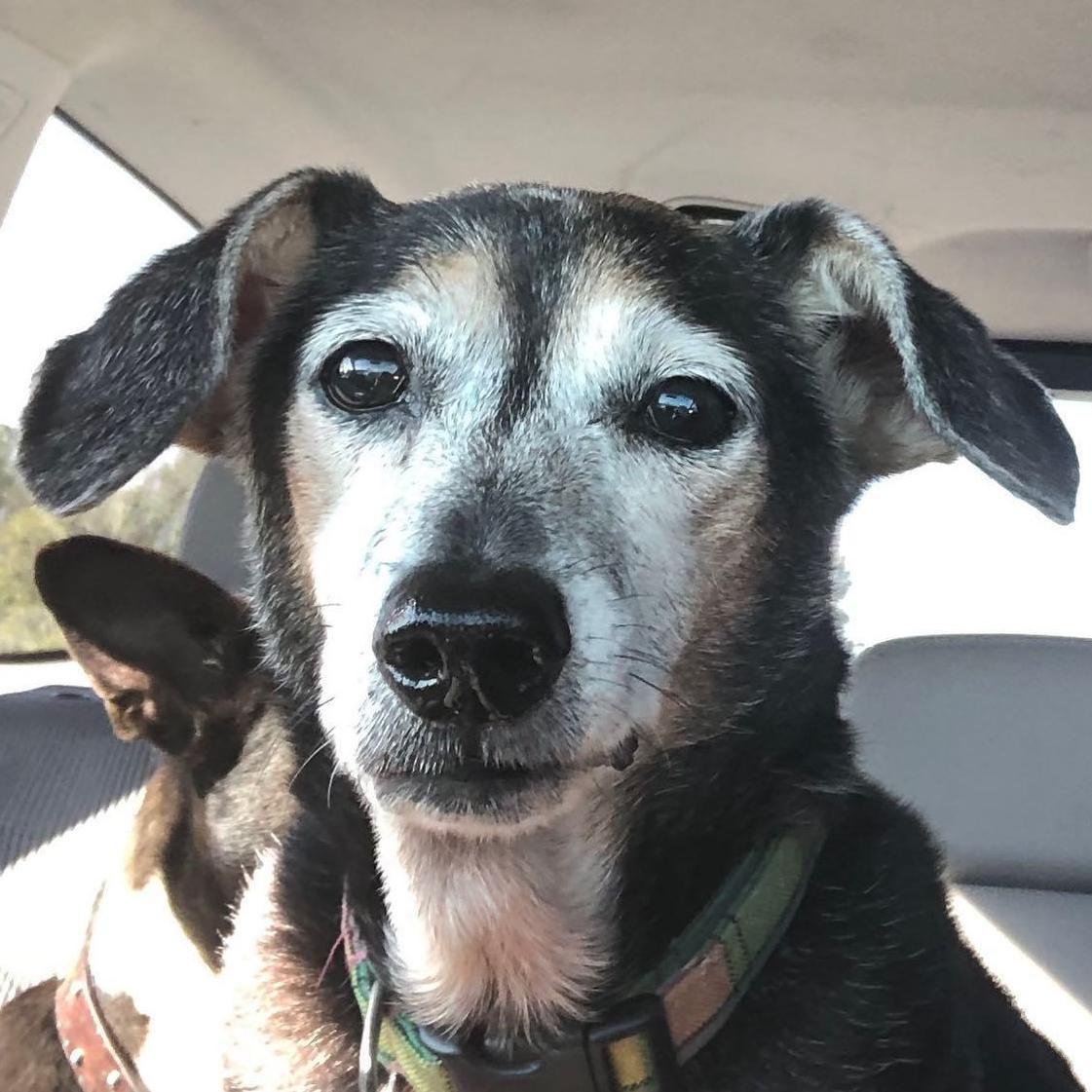 Paddles, our other diva