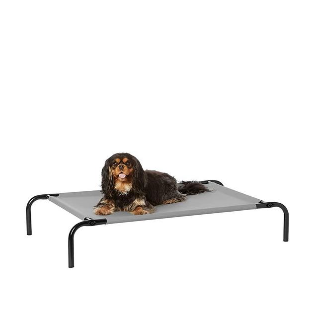 Amazon Basics Cooling Elevated Pet Bed