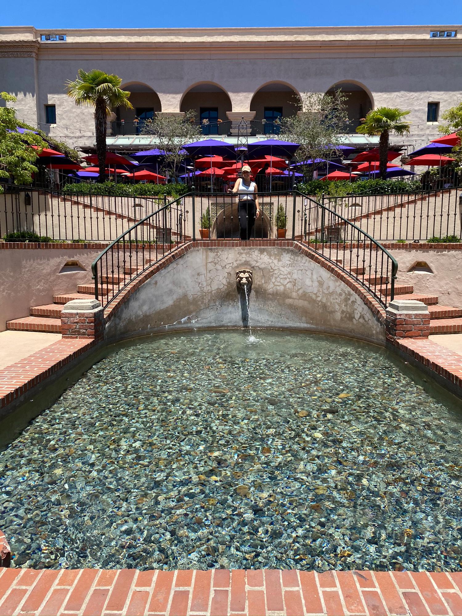 “Honeymoon” Week : Hiking through Balboa Park’s Japanese friendship garden