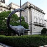 Carnegie Museum of Natural History