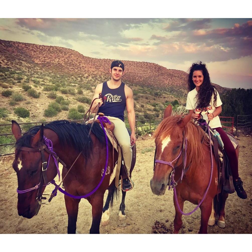 Arizona 2017