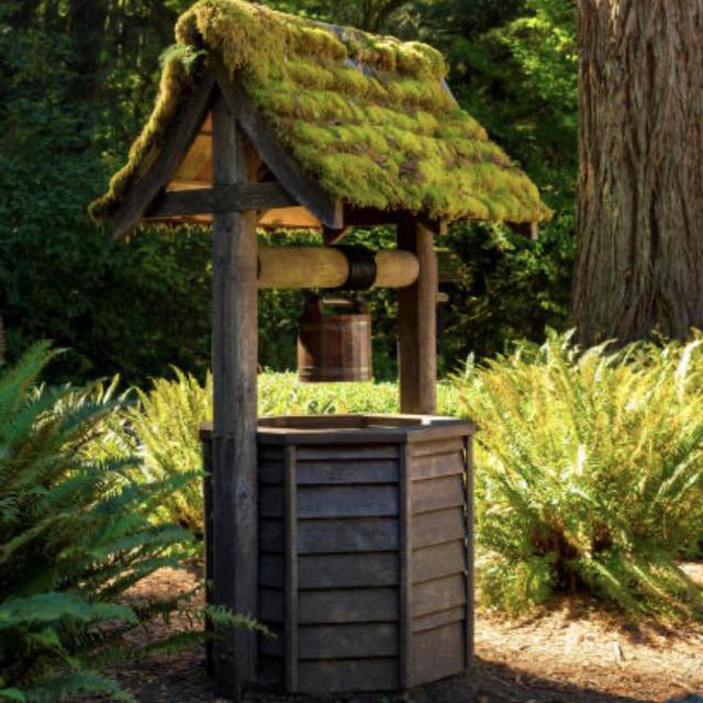 Wish Well