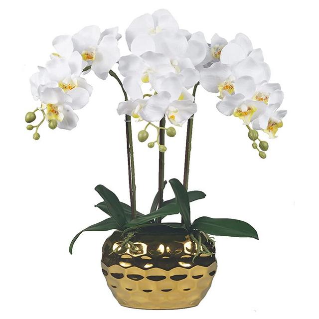 W&W Artificial Orchid Plants & Flowers Arrangement in Ceramic Pot, Fake Faux White Orchid with Gold Vase, Realistic Phalaenopsis Orchids for Home Decor Indoor