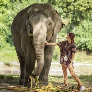 Elephant Santcuary Experience