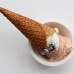 Loblolly Creamery