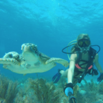 John Pennekamp Coral Reef State Park