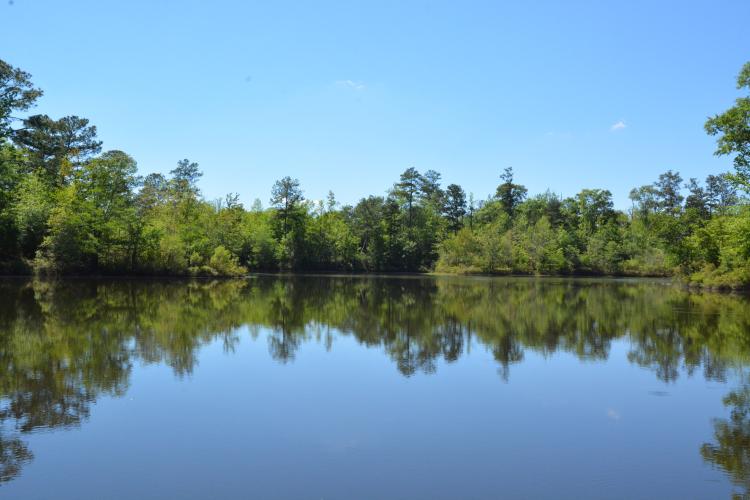 The Wedding Website of Tiffany Porter and Brandon Wentz