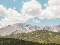 Shuttle to the top of Pikes Peak