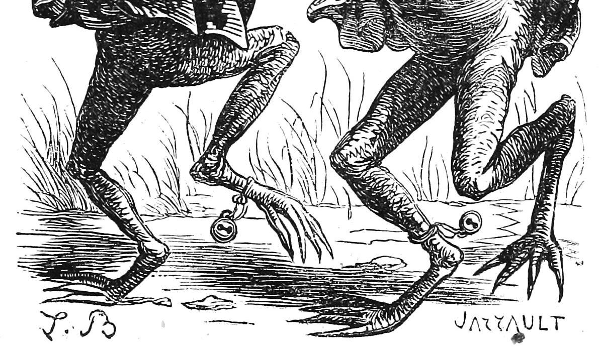 Footer image