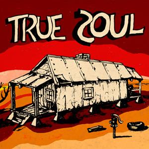 True Soul: Deep Sounds From The Left Of Stax (Box Set) - Vinyl Record