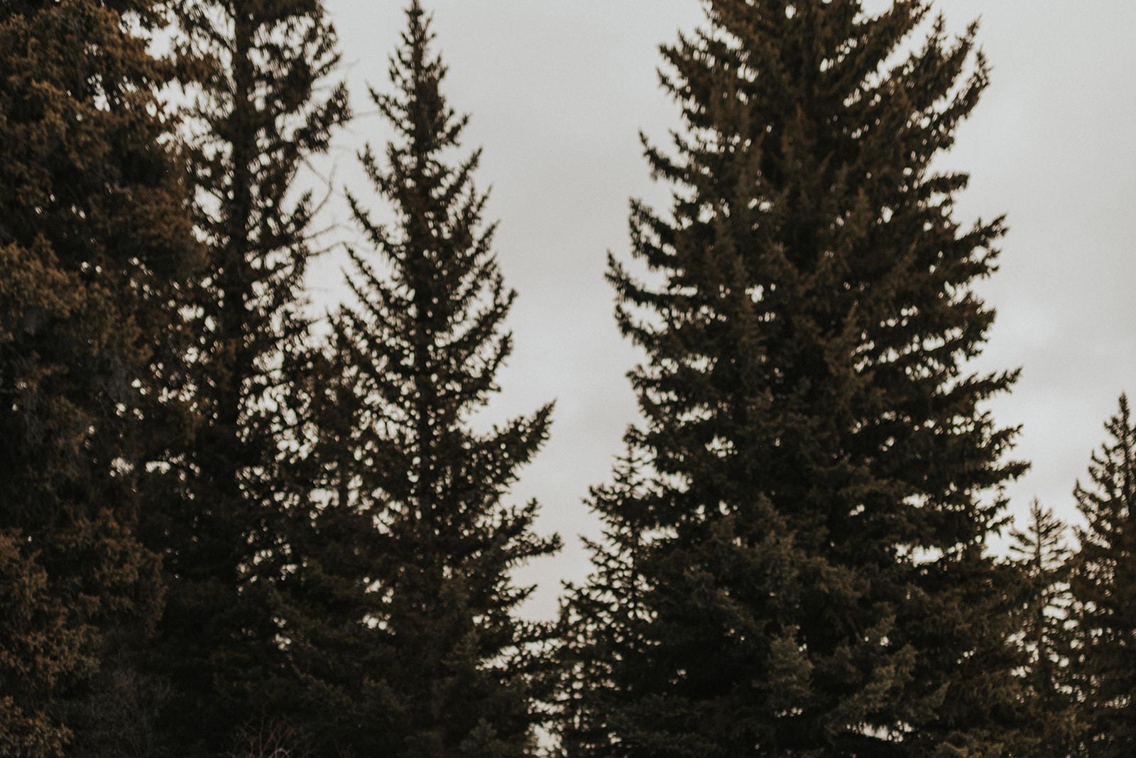 The Wedding Website of Mike Engles and Taylor Connors