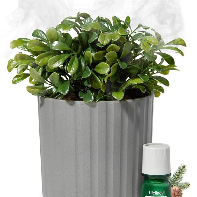 Lifelines Plant Diffuser with Modern Planter, Boxwood - Rechargeable Aromatherapy Diffuser, Artificial Faux Plants Home & Office - ClickWick Essential Oil Blend Included