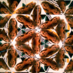 The Museum of Illusions