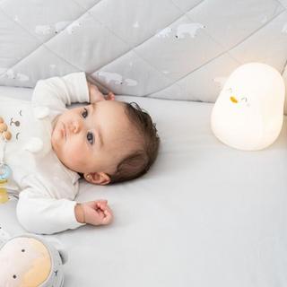 Polaris Nightlight