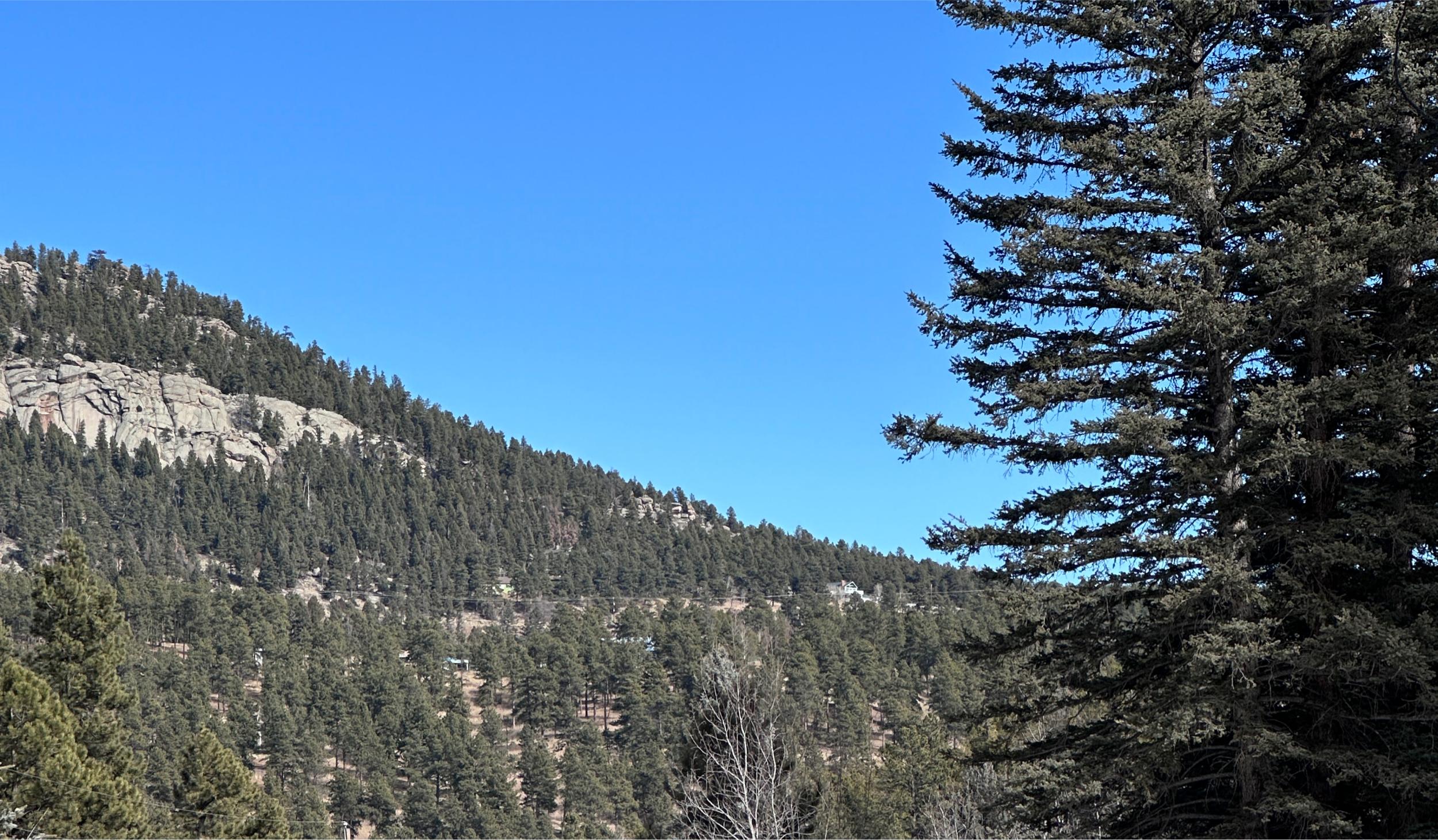 The Wedding Website of Ali Zimmer and Logan Montgomery