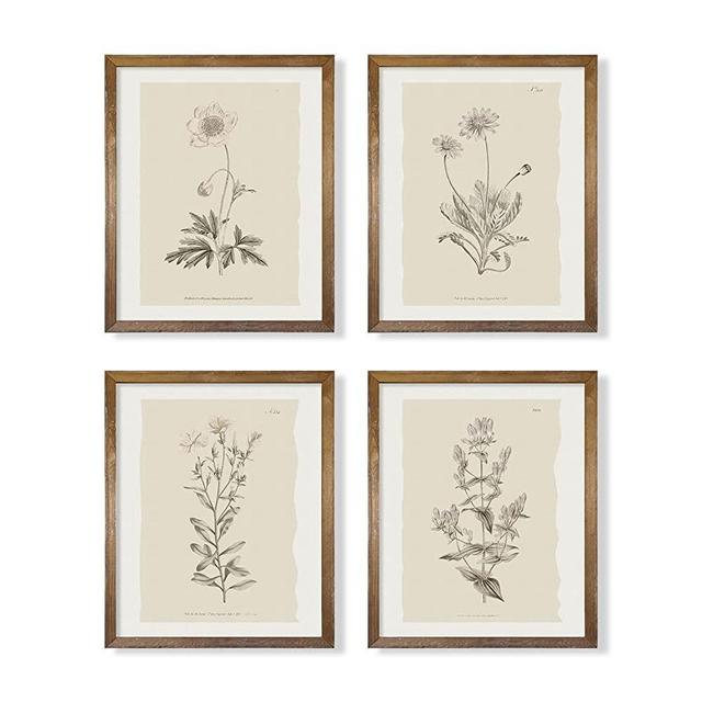 Vintage Botanical Plant Wall Art - Neutral Boho Minimalist Flower Floral Posters Prints - Beige French Counry Farmhouse Picture for Bathroom, Kitchen, Home Office Room Decor - Aesthetic Study Sketch