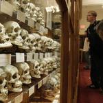 The Mütter Museum at The College of Physicians of Philadelphia
