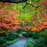 Lithia Park