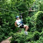 Ozark Mountain Ziplines
