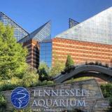 Tennessee Aquarium