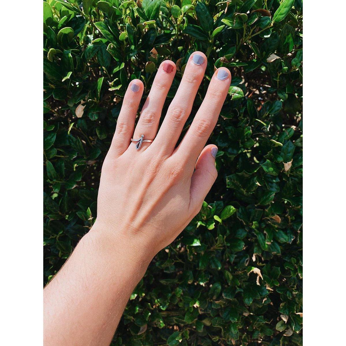 The Ring 
Memorial Day 2019