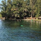 Wekiwa Springs State Park