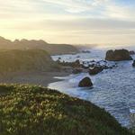 Bodega Bay