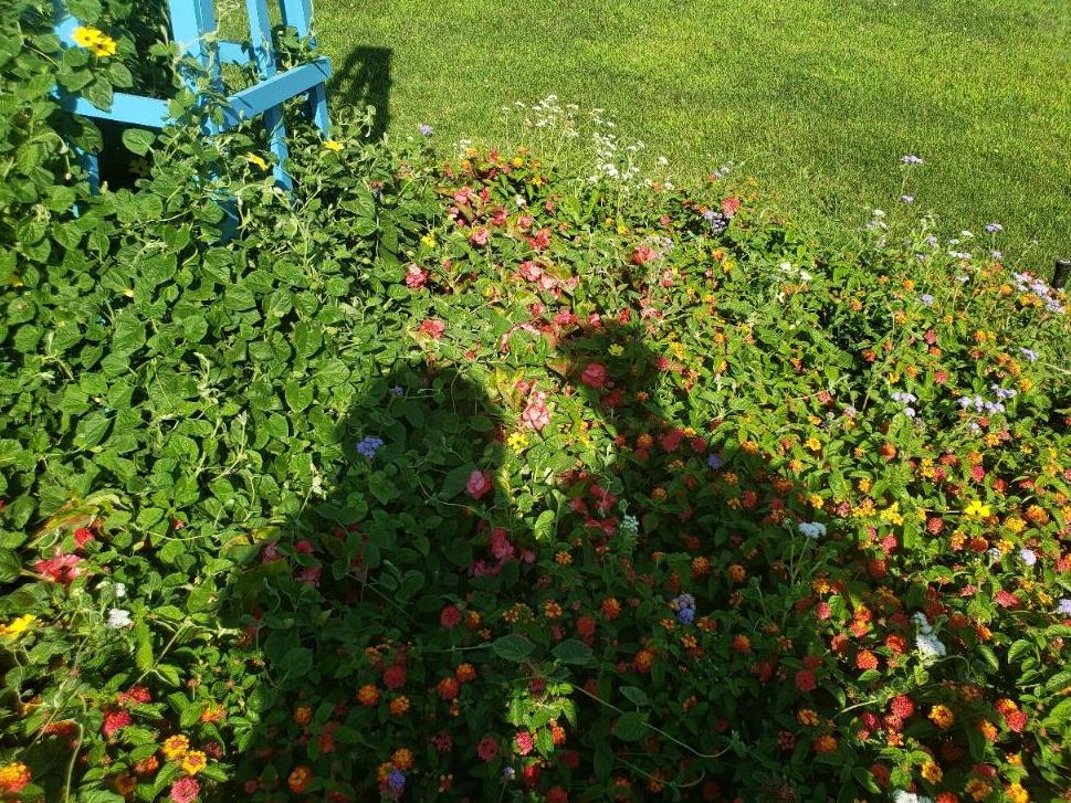 The Wedding Website of Aaron Bottoms and Catrice Chaney