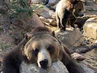 Cheyenne Mountain Zoo
