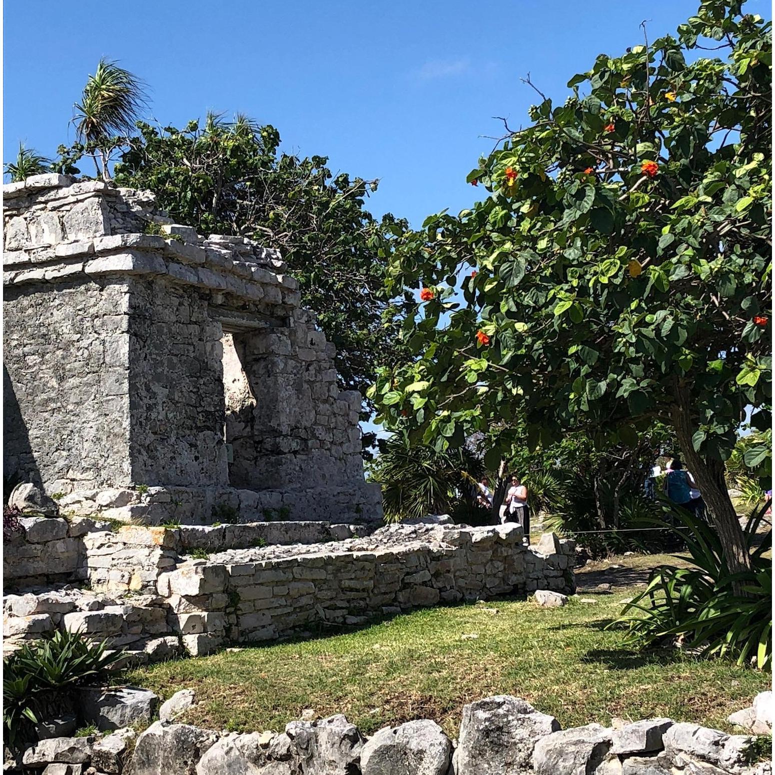 Mayan ruins are a 10 min cab away from the hotel strip.