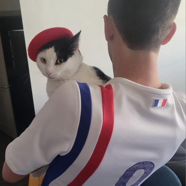 Pastis looking very French celebrating Bastille Day. July 2024